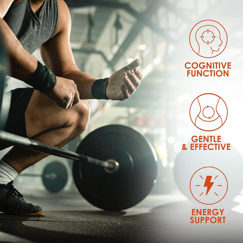 L Carnitine Supplement 1000 mg per Serving, Acetyl 120 Vegetarian Capsules & Pure Form, 60 Servings